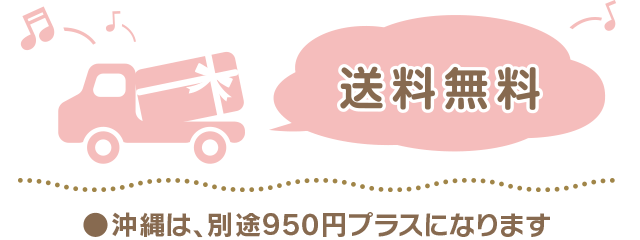 送料無料 北海道・沖縄・離島は別途950円、東北は別途300円プラスになります。
