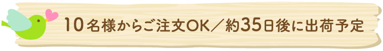 10名様からご注文OK／約35日後に出荷予定