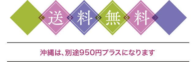 ●北海道・沖縄・離島は、別途950円プラスになります●東北は、別途300円プラスになります