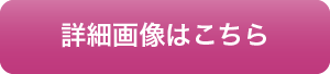詳細画像はこちら