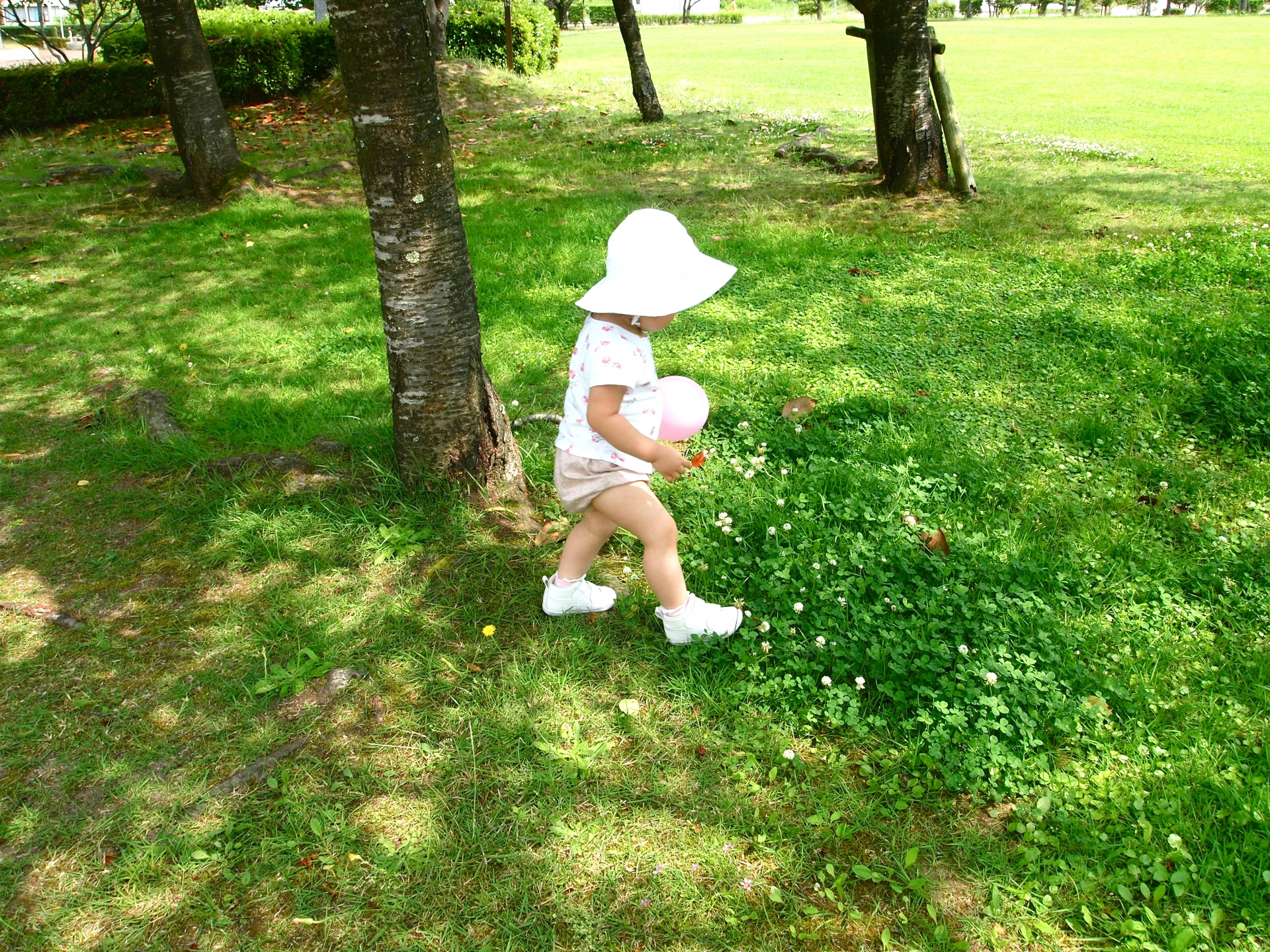 木漏れ日の中を白い帽子をかぶって歩く１〜２歳の子供
