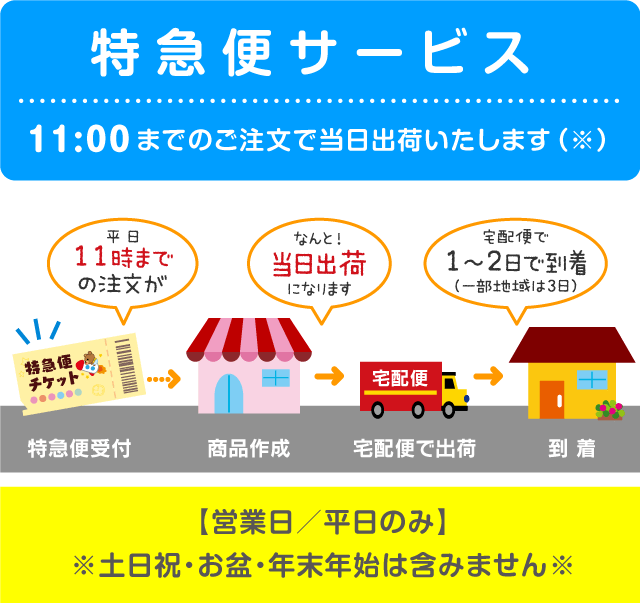 「特急便サービス」11:00 までのご注文で当日出荷いたします