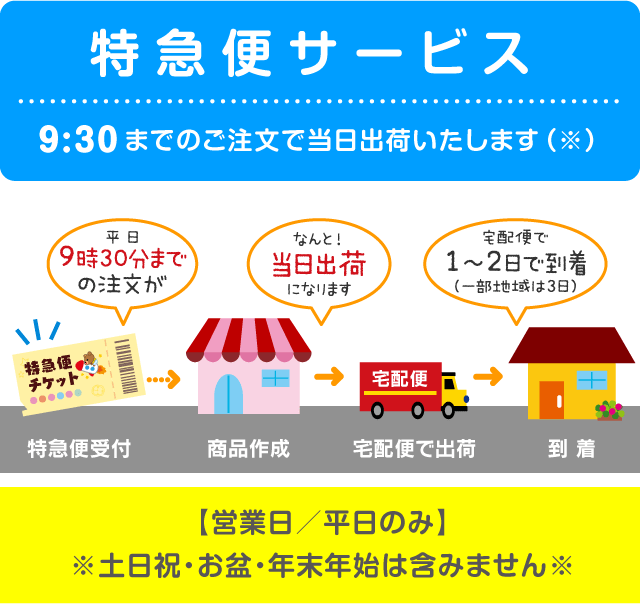 「特急便サービス」9:30 までのご注文で当日出荷いたします