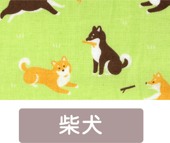 柴犬