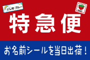 特急便　お名前シール