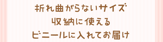 折れ曲がらないサイズ収納に使えるビニールに入れてお届け