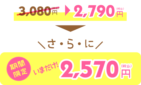 【メール便・送料無料】1set 2570JPY（税込）