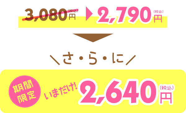 【メール便・送料無料】1set 2640JPY（税込）