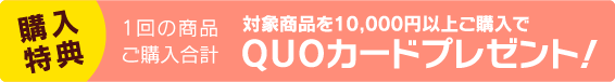 「購入特典」対象商品を10,000円以上ご購入で図書カードプレゼント！