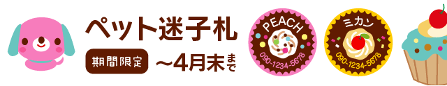 ペットの迷子札　期間限定