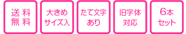 送料無料、大きめサイズ入、たて文字あり、旧字体対応、6本セット