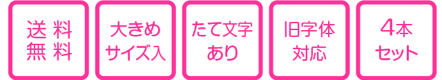 送料無料、大きめサイズ入、たて文字あり、旧字体対応、4本セット