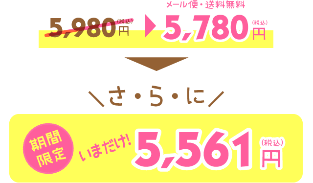 10%OFF 5561JPY