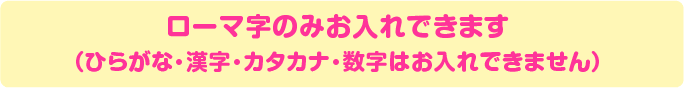 ローマ字のみお入れできます（ひらがな・漢字・カタカナ・数字はお入れできません）